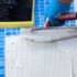 Pool Tile Repair in Quincy MA – When to Replace 70x70